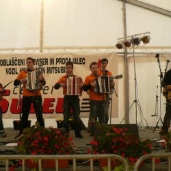 slika 8